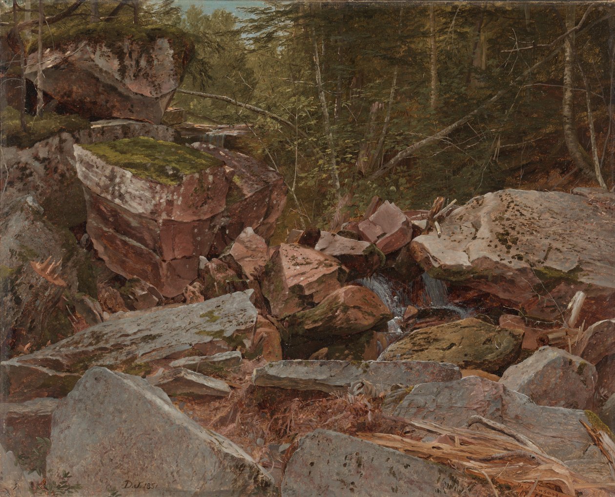 Study, North Conway, New Hampshire, 1851 od David Johnson