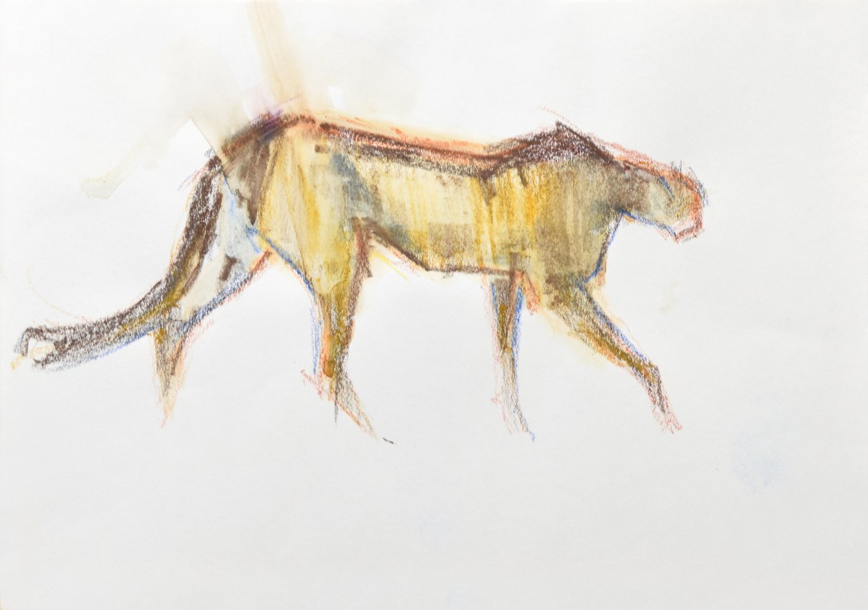 Gepard, 2020 (pastel a akvarel na papíře) od David Mayer