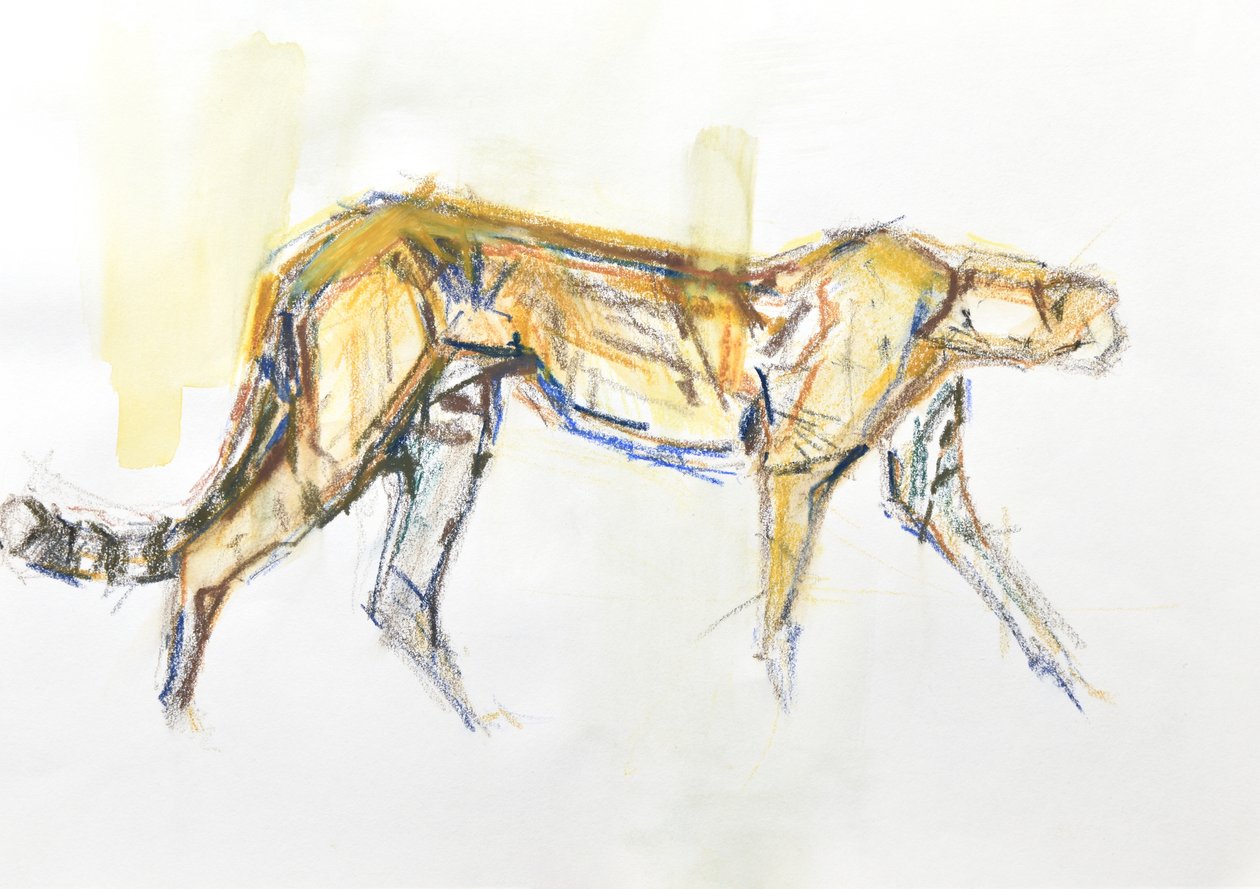 Gepard, 2020 (pastel a akvarel na papíře) od David Mayer