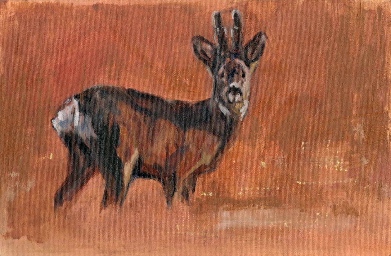 Roe Buck, 2021 od David Mayer
