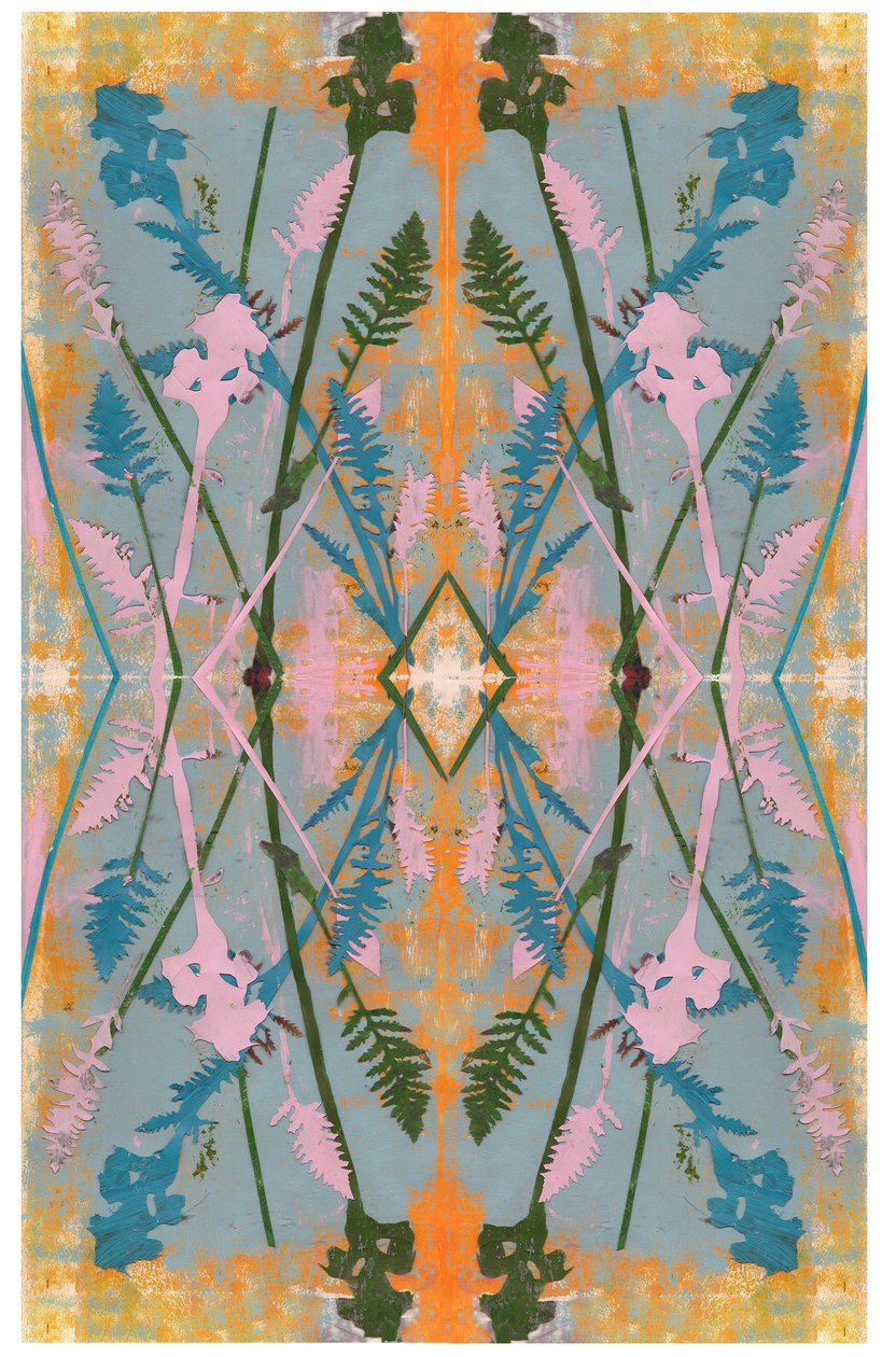 Botanická koláž # 2, 2017 od David McConochie