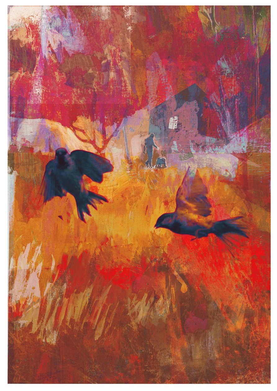 Vrabci, 2016 od David McConochie