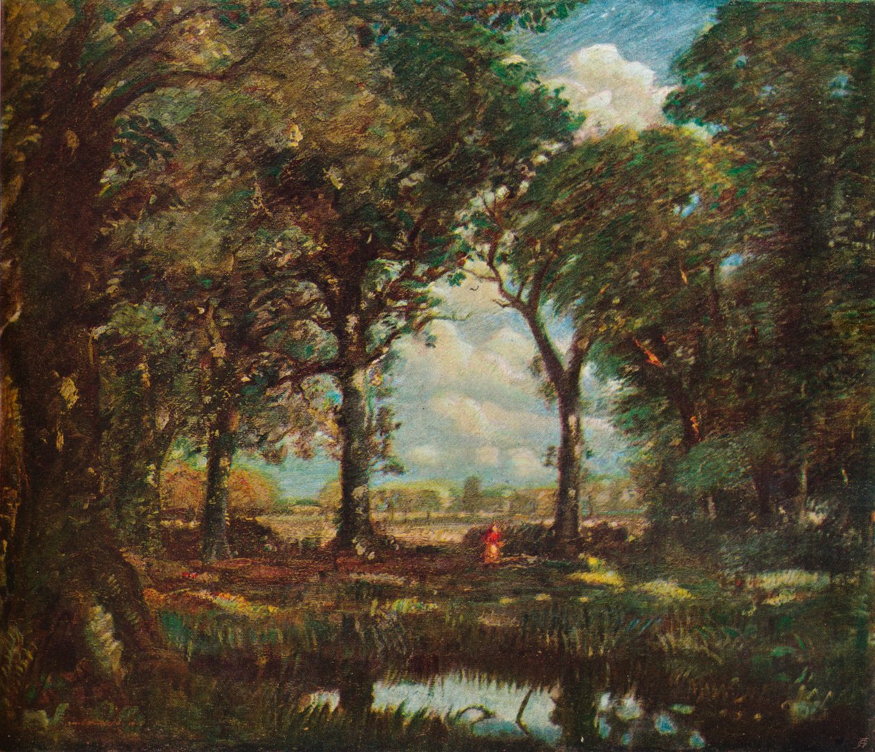 Woodland Pool, c1905 od David Muirhead