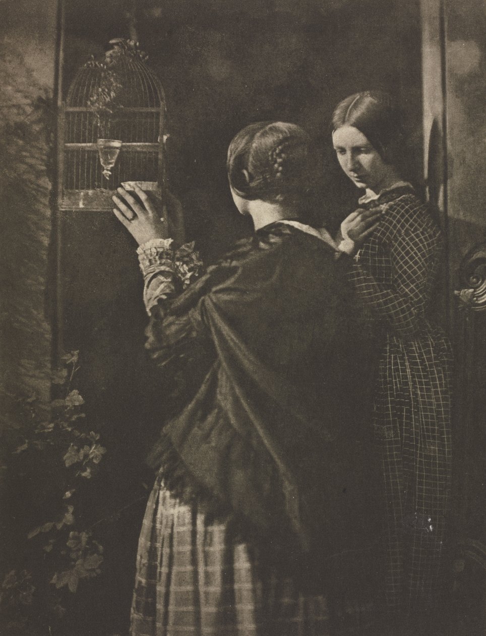 Kamera: The Bird-Cage od David Octavius Hill