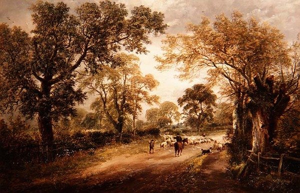 Pasení ovcí od David Payne