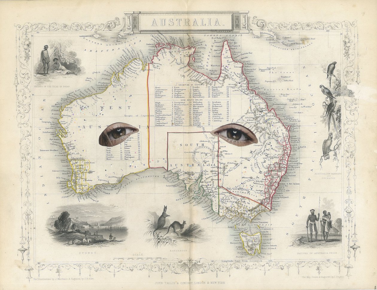 Colonial – Austrálie, 2017 (koláž vyřezaná z papíru) od Deirdre Kelly