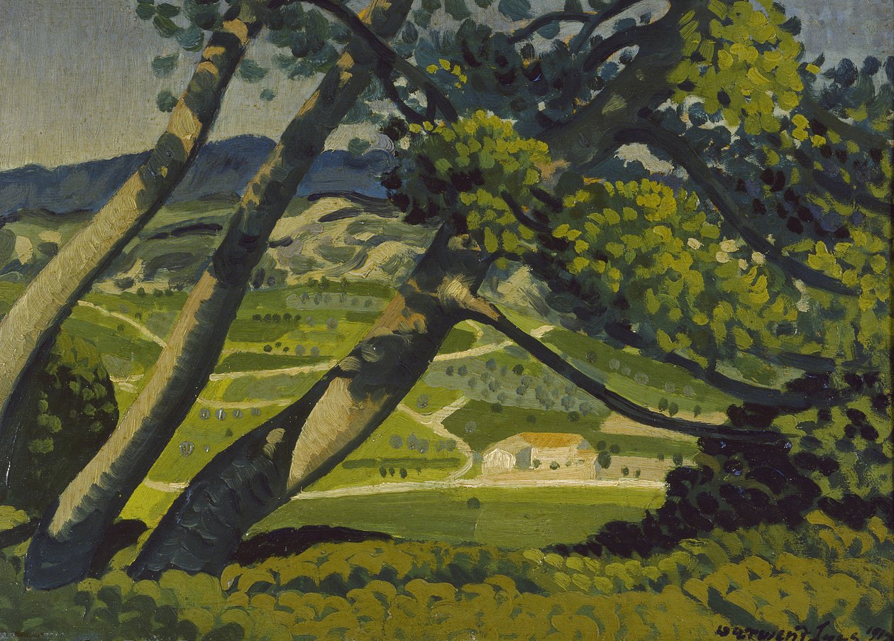 Stromy, Provence, 1912 od Derwent Lees