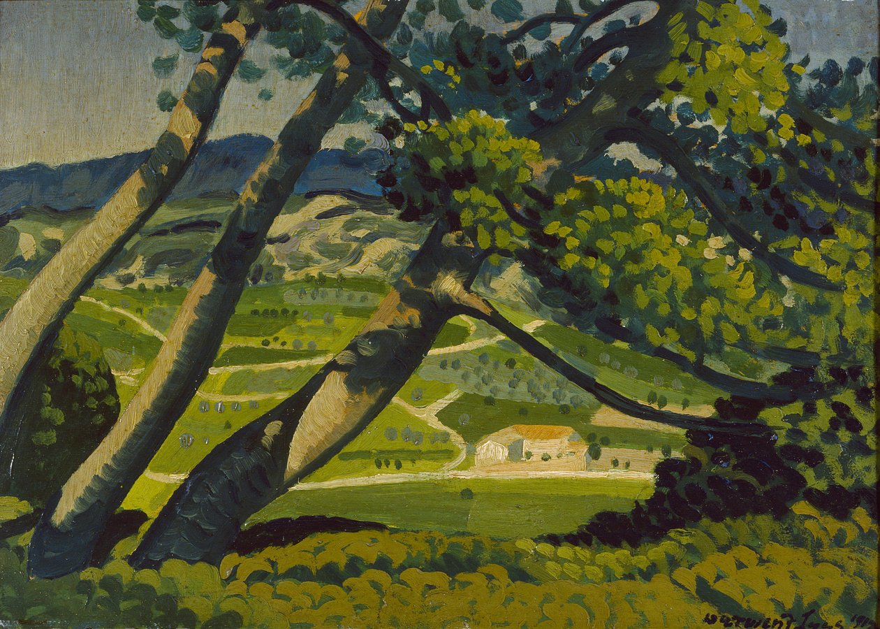 Stromy, Provence, 1912 od Derwent Lees