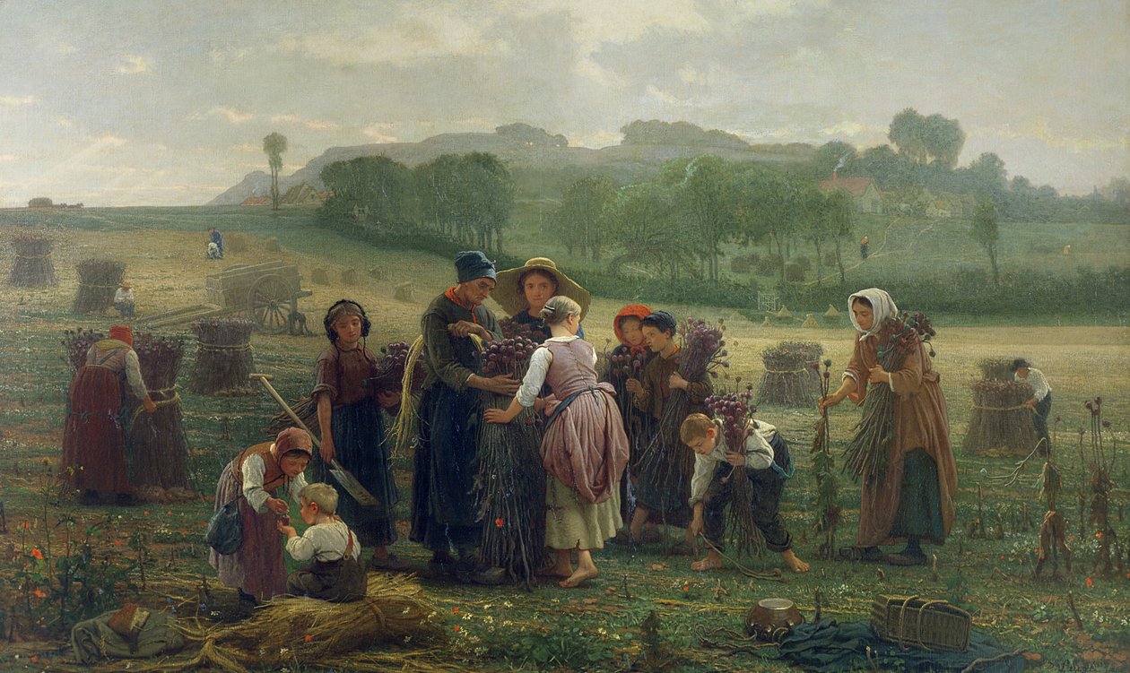 Sklizeň máku v Pikardii, 1860 od Desire Francois Laugee