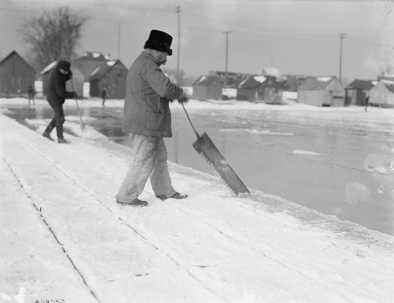 Sklizeň ledu, řezání, cca 1900-10 od Detroit Publishing Co.