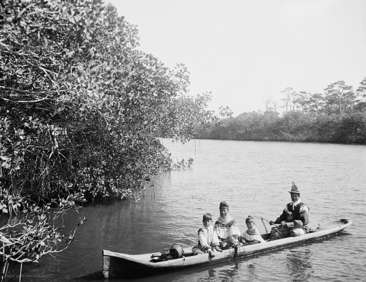 Indiánská a rodinná kánoe Seminole, Miami, Florida, c.1910-20 od Detroit Publishing Co.
