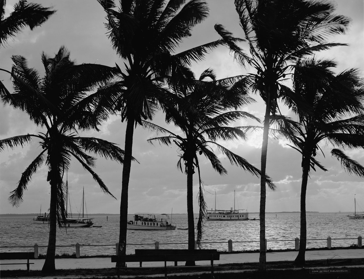 Západ slunce, Biscayne Bay, Miami, Florida, cca 1910-20 od Detroit Publishing Co.
