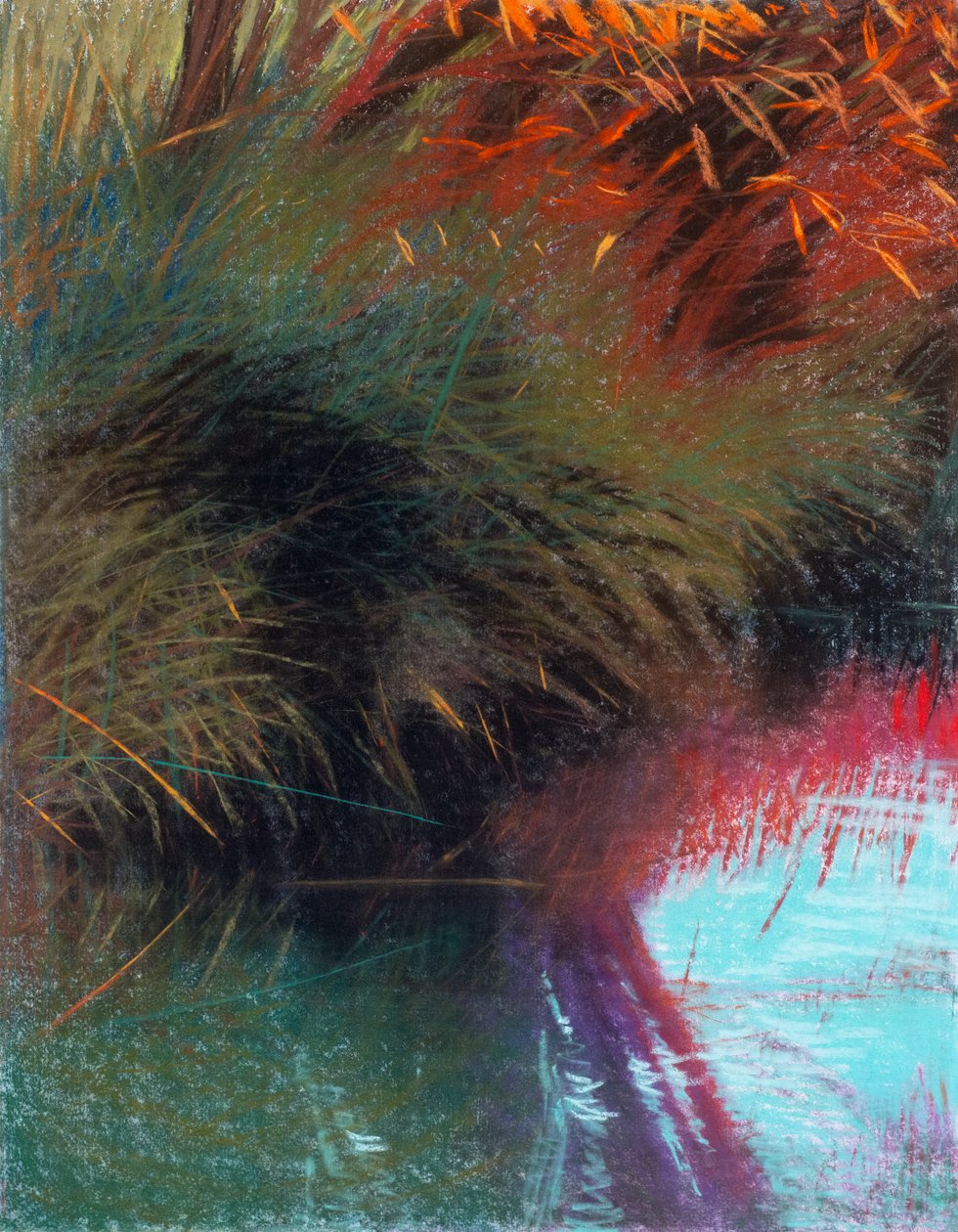 Rudá vrba 1b, 2021 (pastel na papíře) od Diana Jahns
