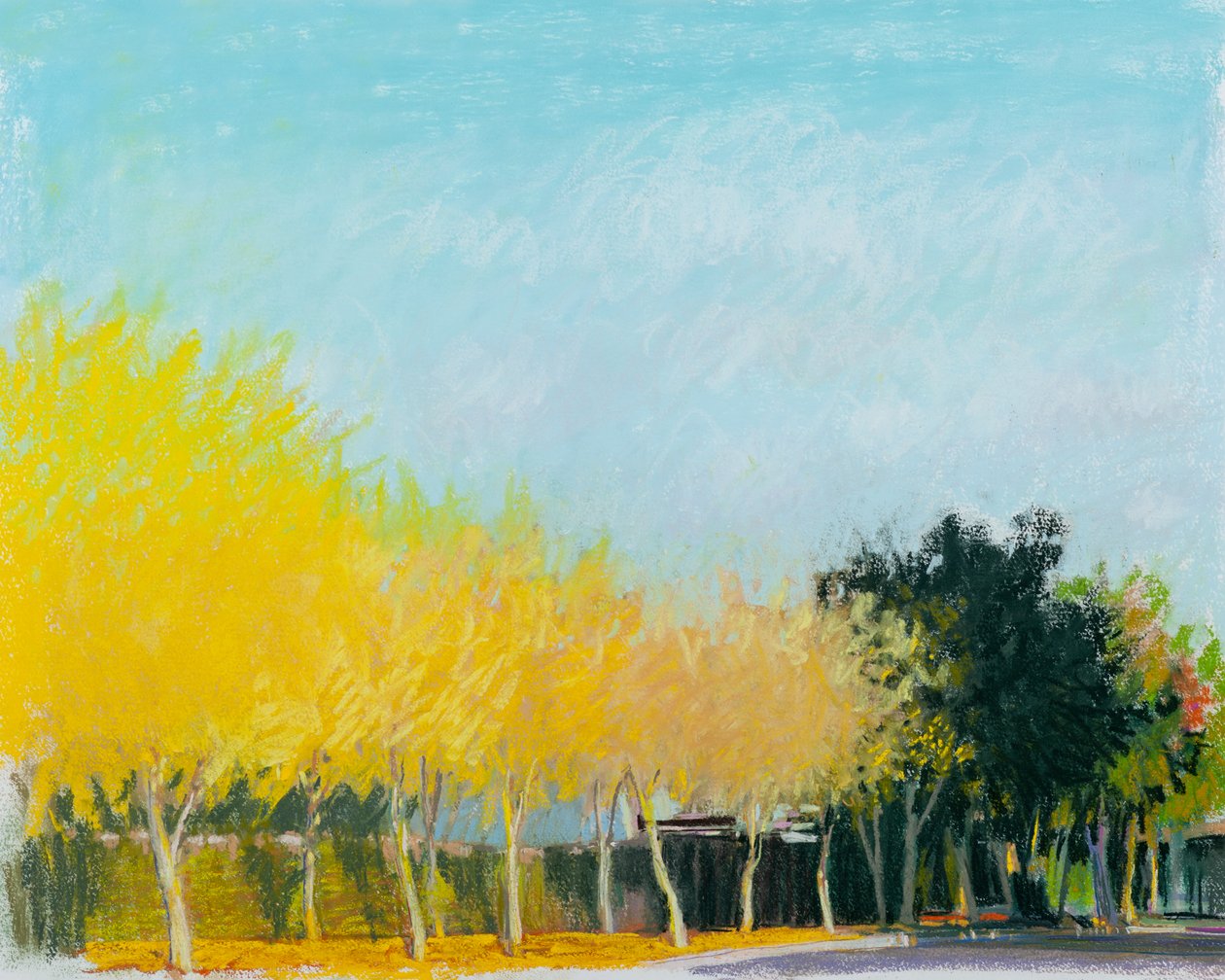 Slunečná strana, 2015 (pastel na papíře) od Diana Jahns