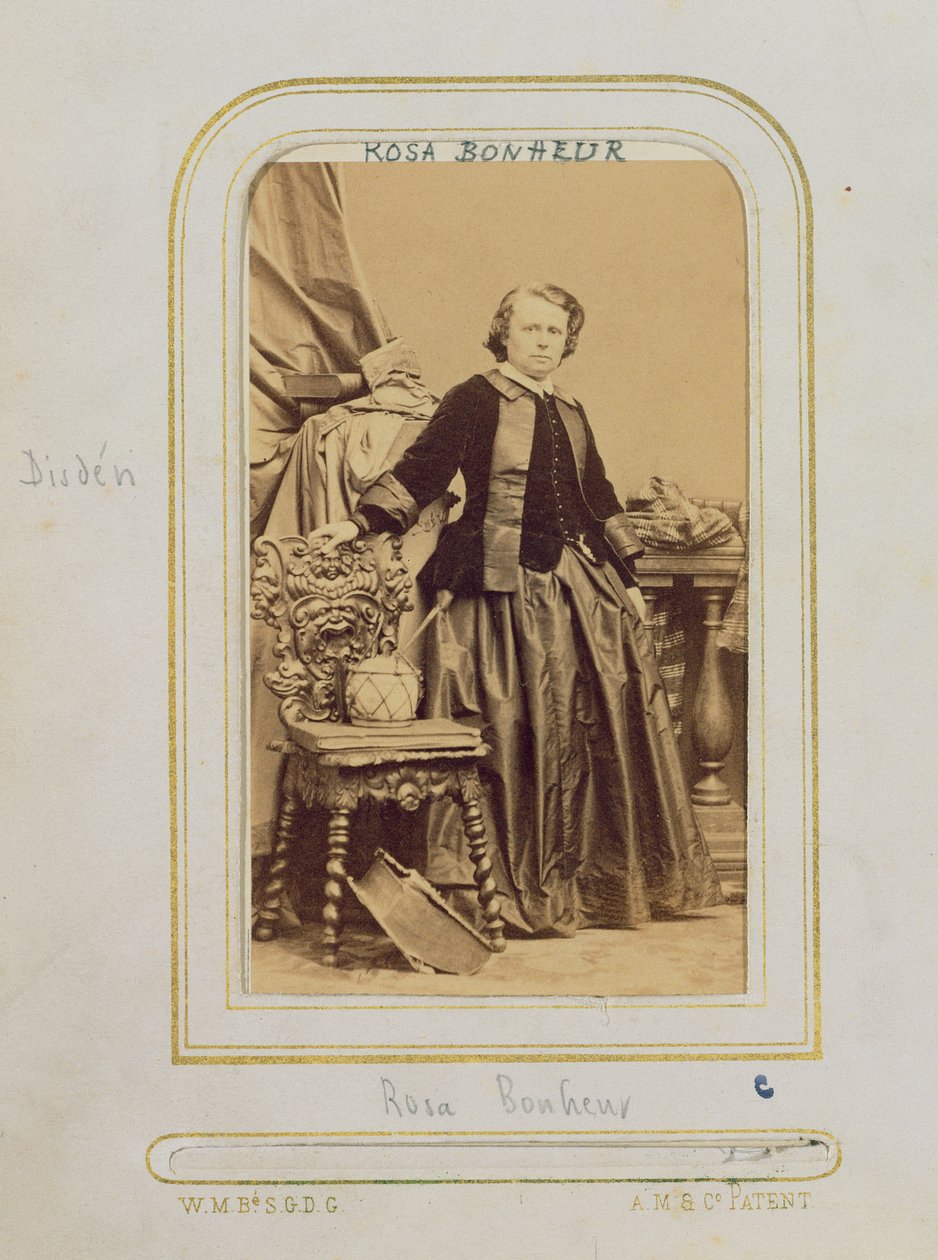 Portrét Rosy Bonheurové (1822-99) od Disden