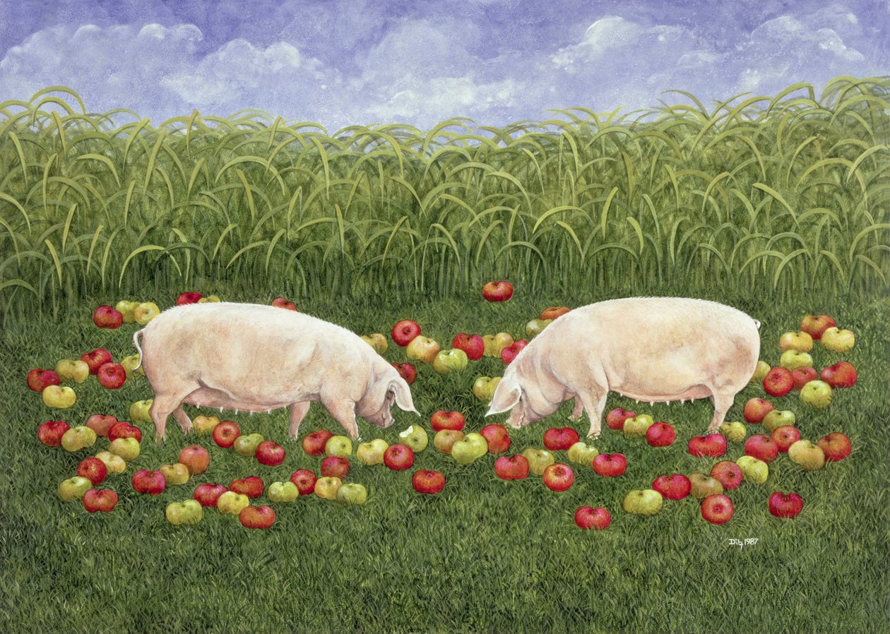 Apple-prasnice od Ditz