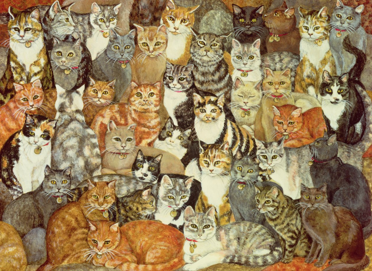 Cat-Spread od Ditz