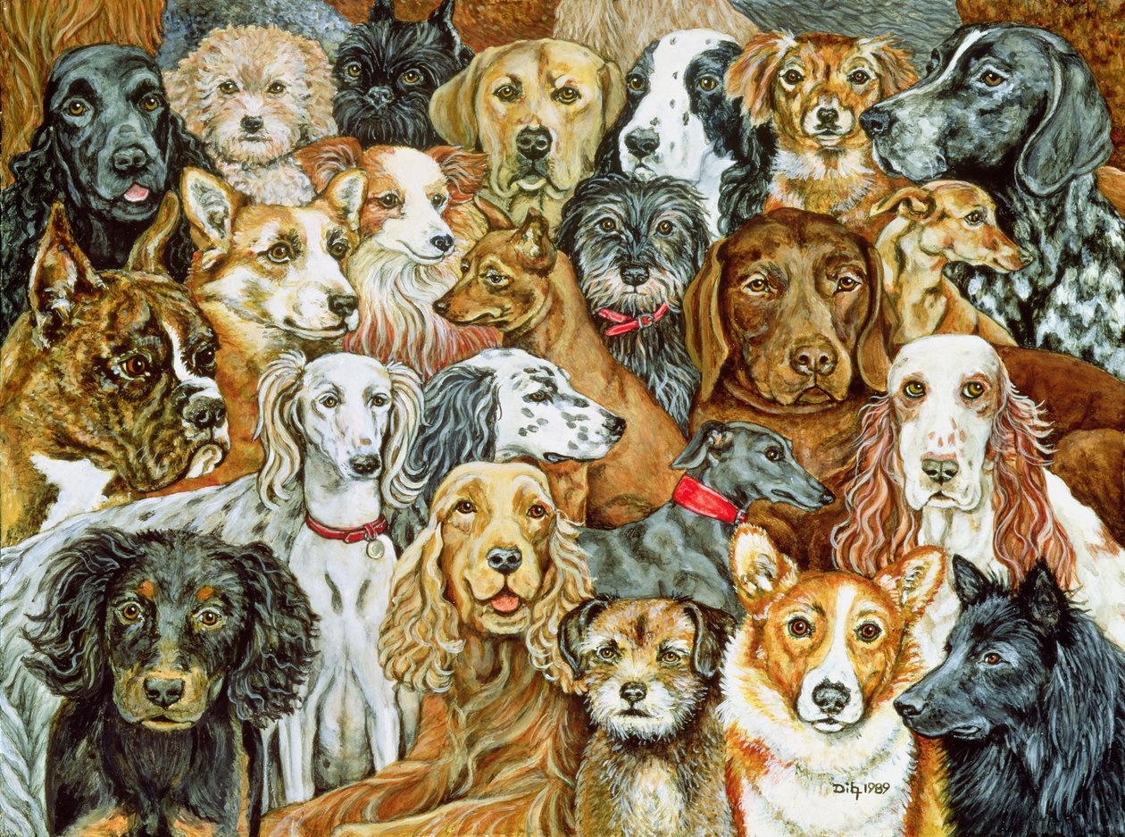 Dog Spread, 1989 od Ditz