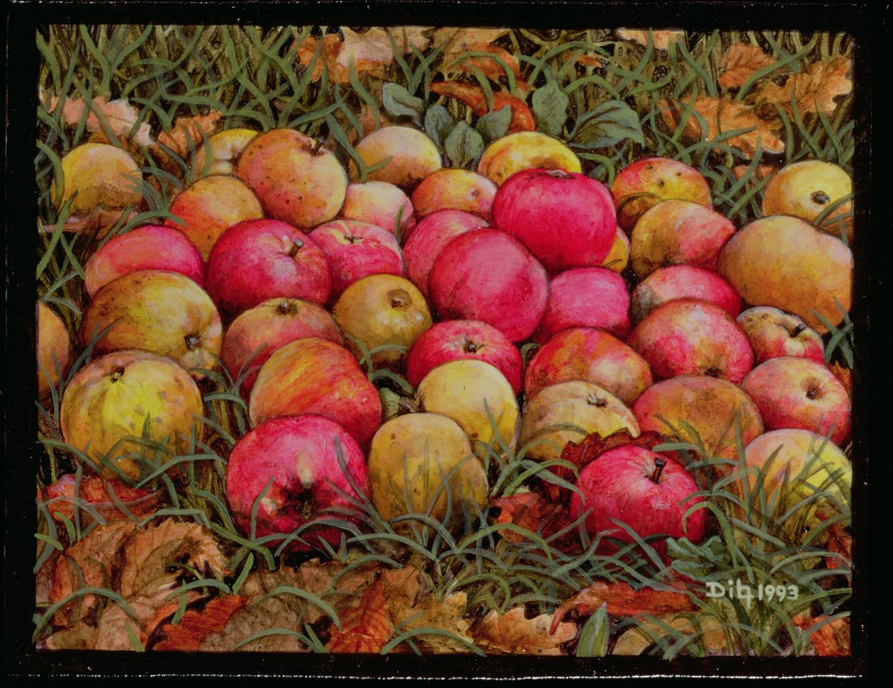 Durnitzhoferova jablka, 1993 od Ditz