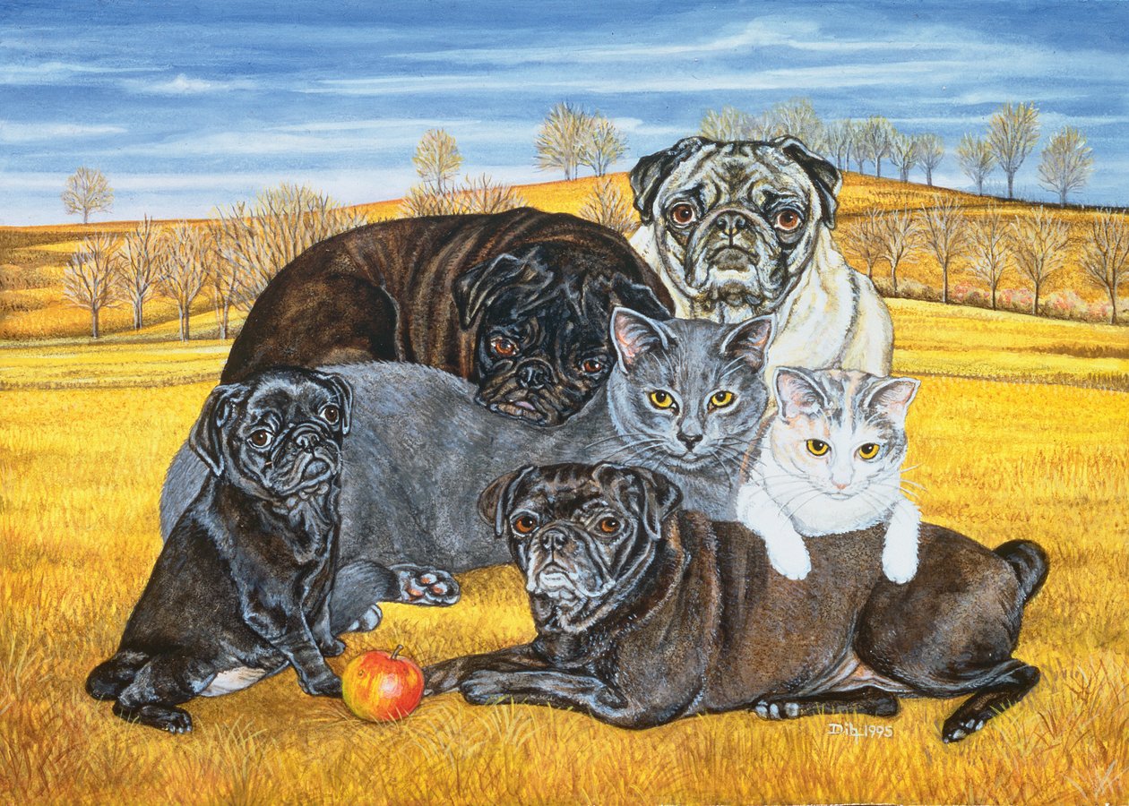 Hocking County Pug-Cats, 1995 od Ditz