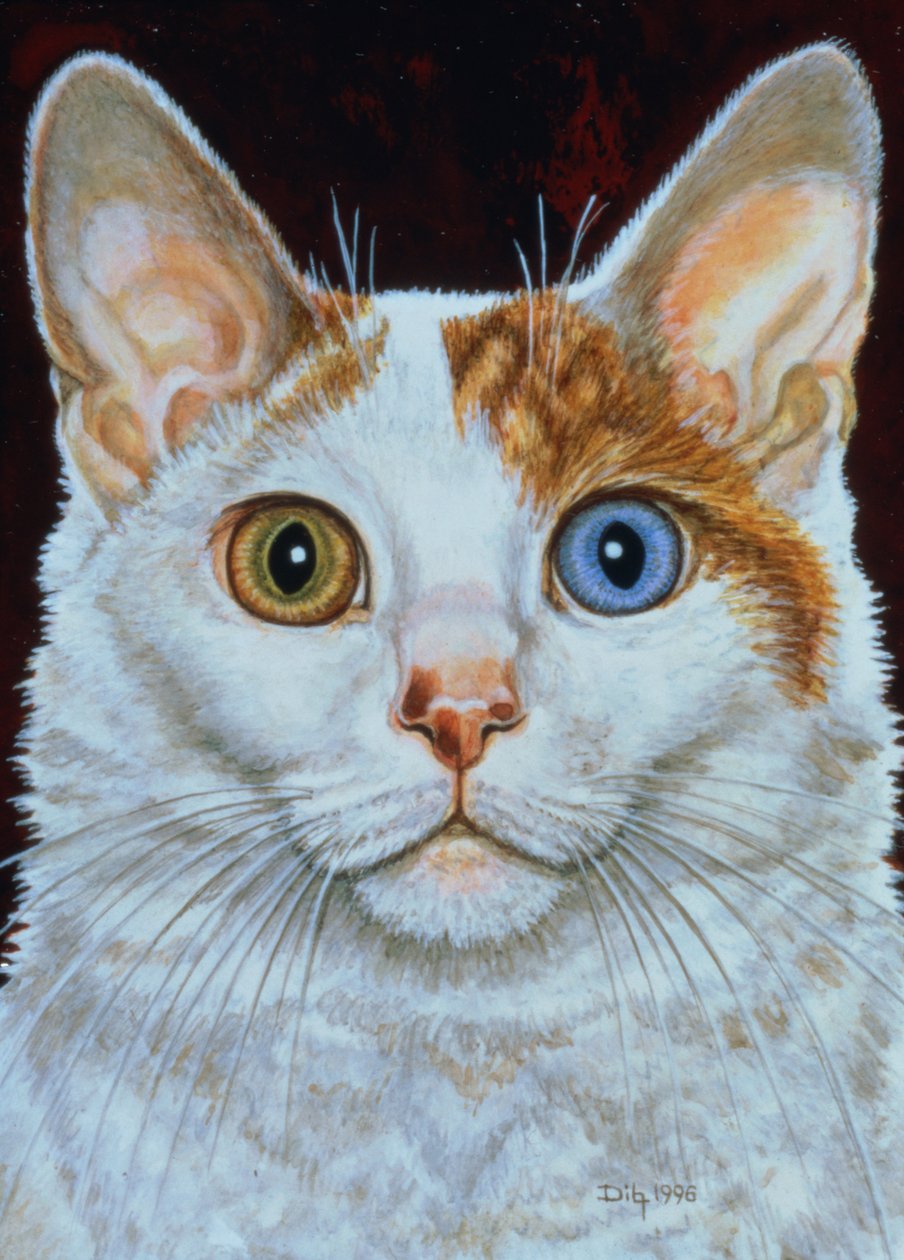 Minette, 1996 (akryl na panelu) od Ditz