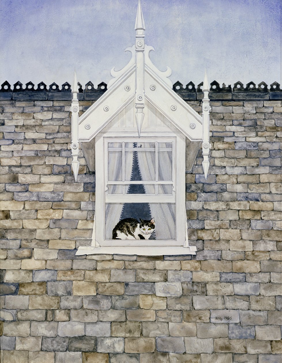 St.Helier Dormer Cat od Ditz