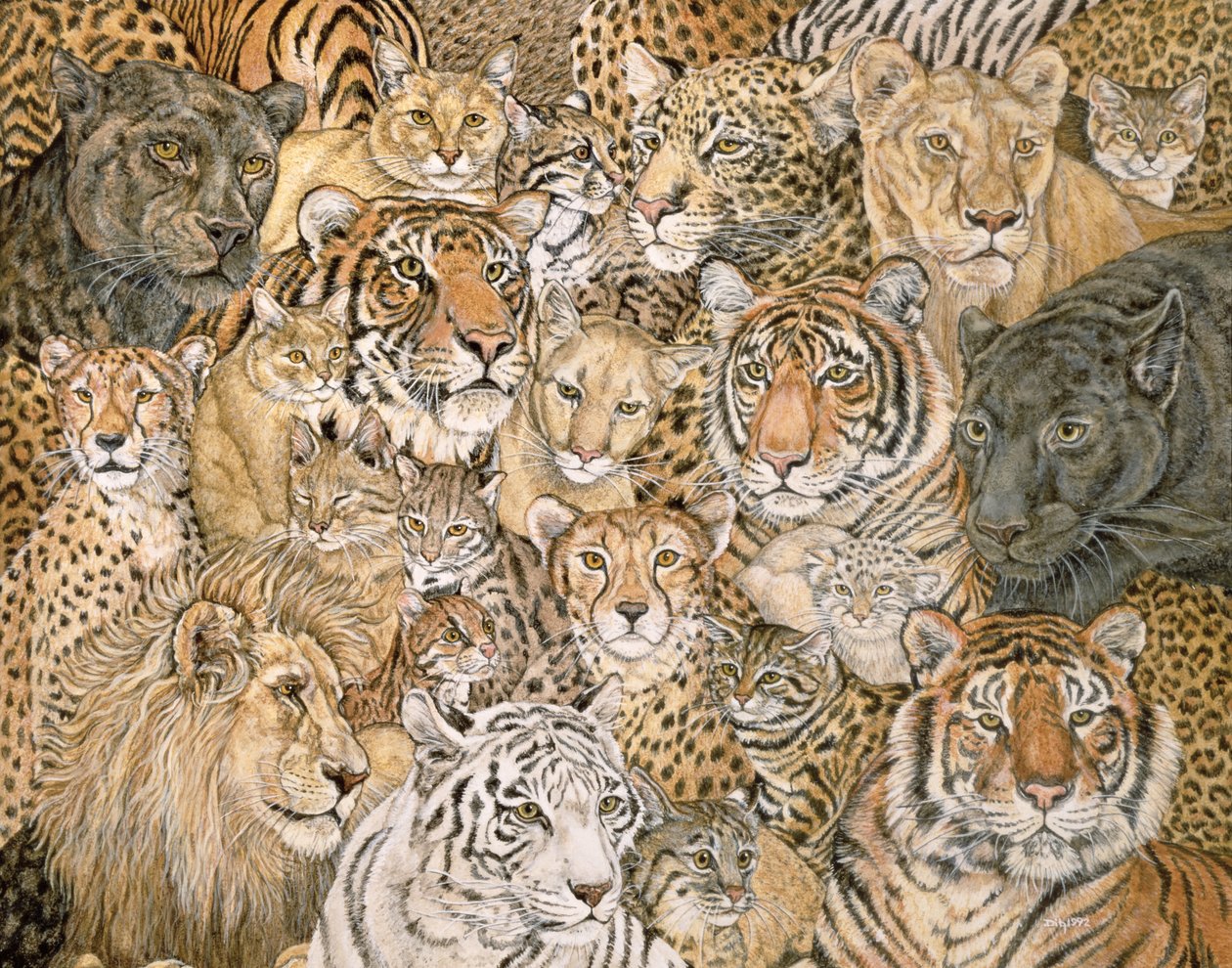 Wild Cat-Spread, 1992 od Ditz