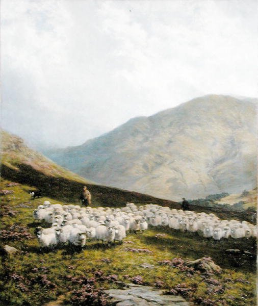 Shepherd and Sheep, Perthshire (olej na plátně) od Dixon Clark