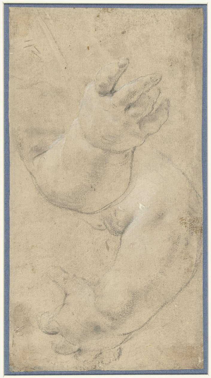 Studie dvou dětských paží od Domenichino