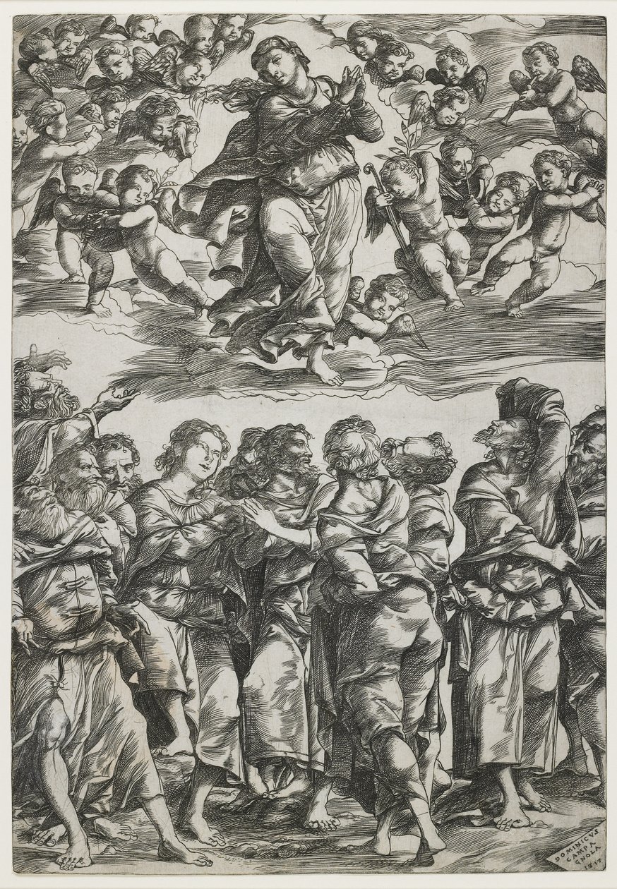 Nanebevzetí Panny Marie, 1517 od Domenico Campagnola