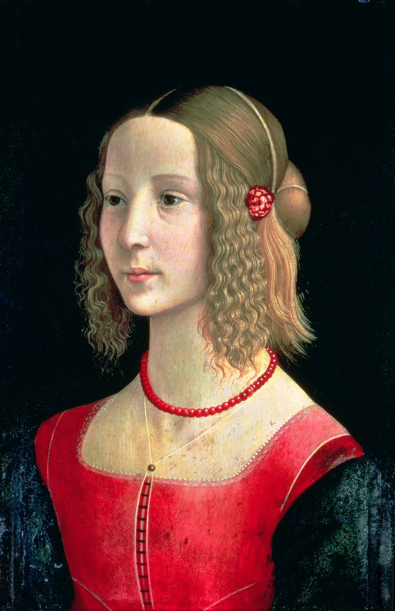 Portrét dívky, cca 1490 (tempera na panelu) od Domenico Ghirlandaio