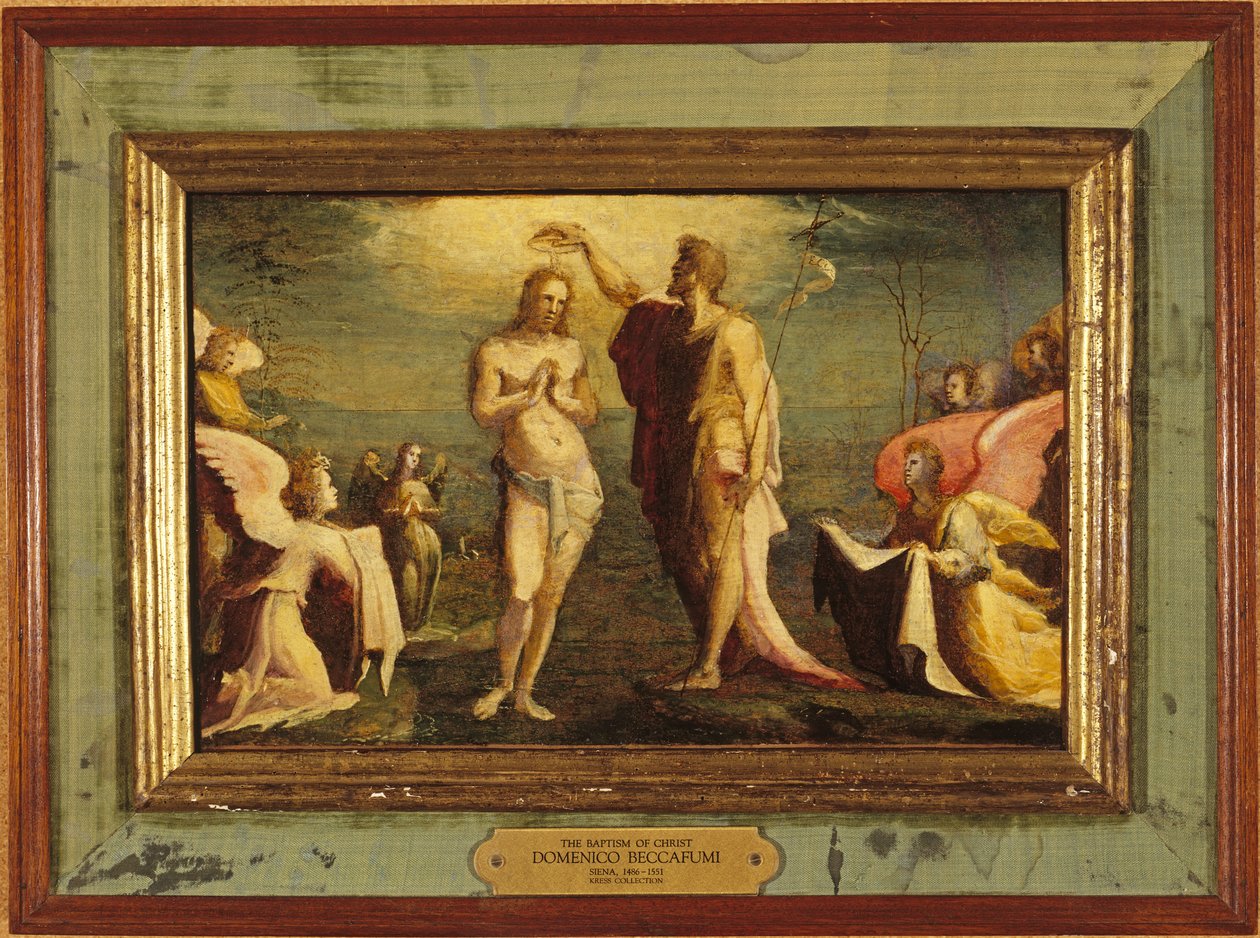 Beccafumi - Křest Krista, 1528 od Domenico Beccafumi