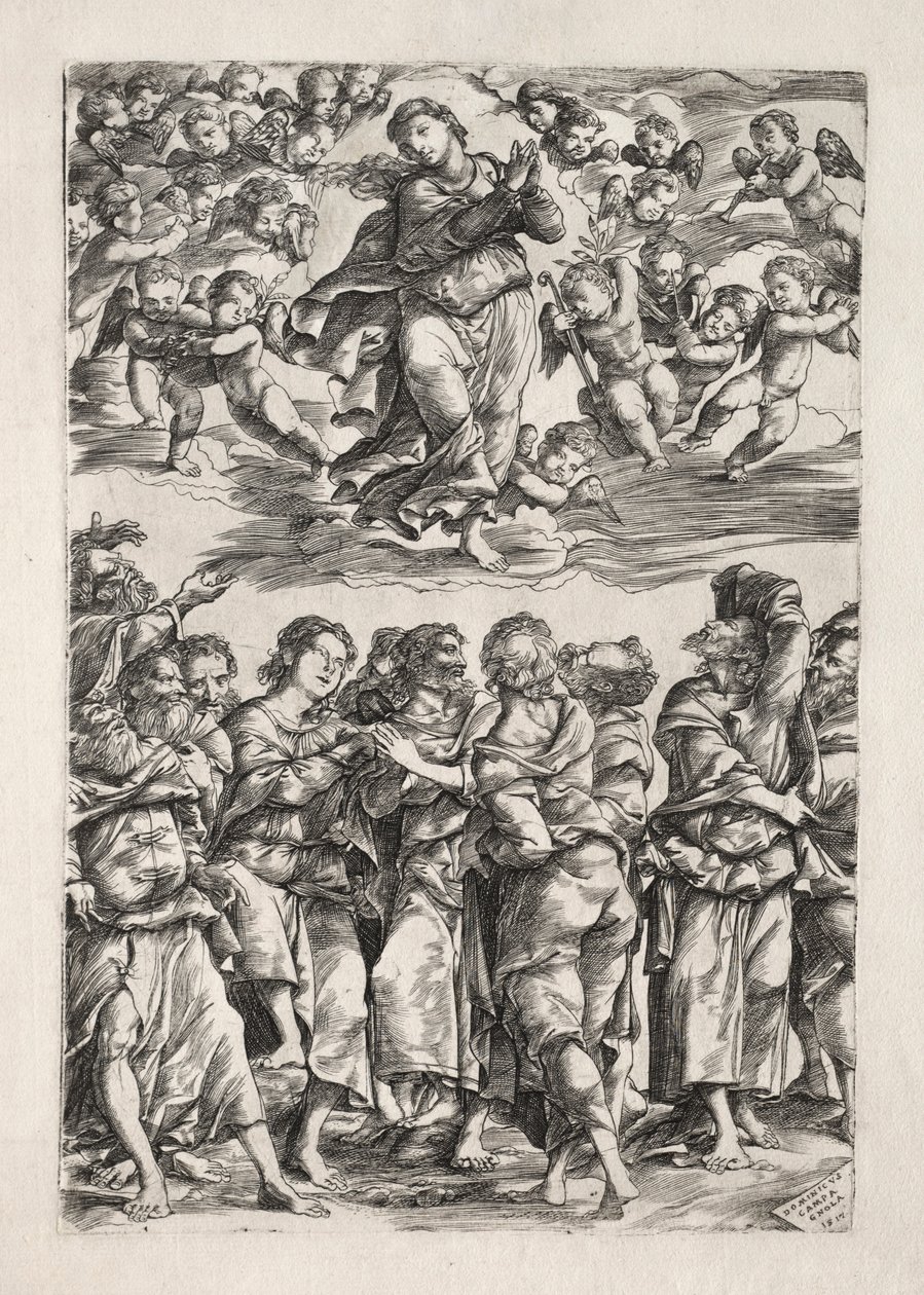 Nanebevzetí Panny Marie, 1517. od Domenico Campagnola