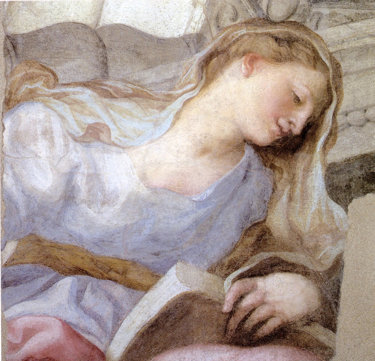 Personifikace ctnosti (freska) od Domenico I Piola