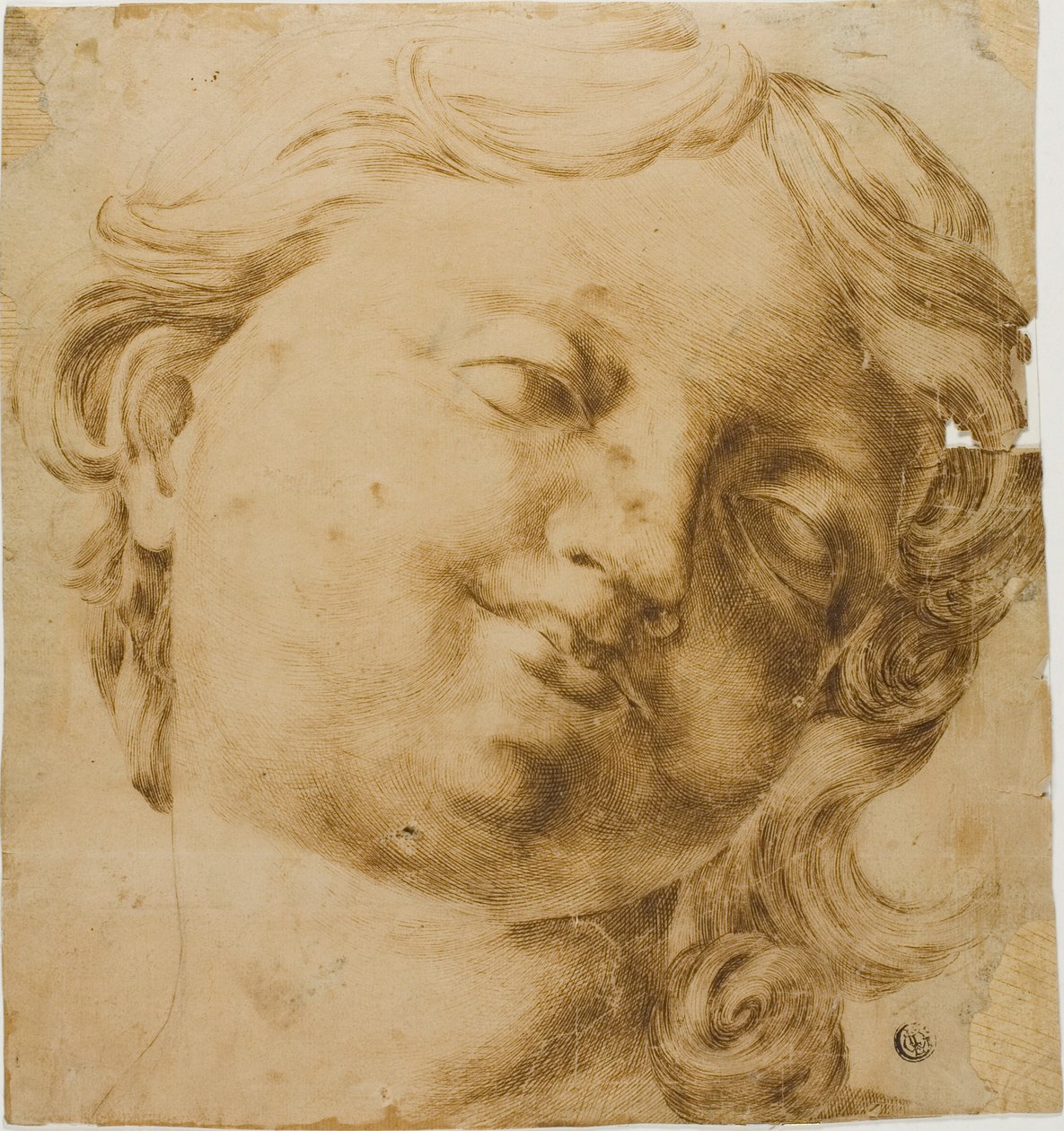 Hlava dítěte od Domenico Peruzzini
