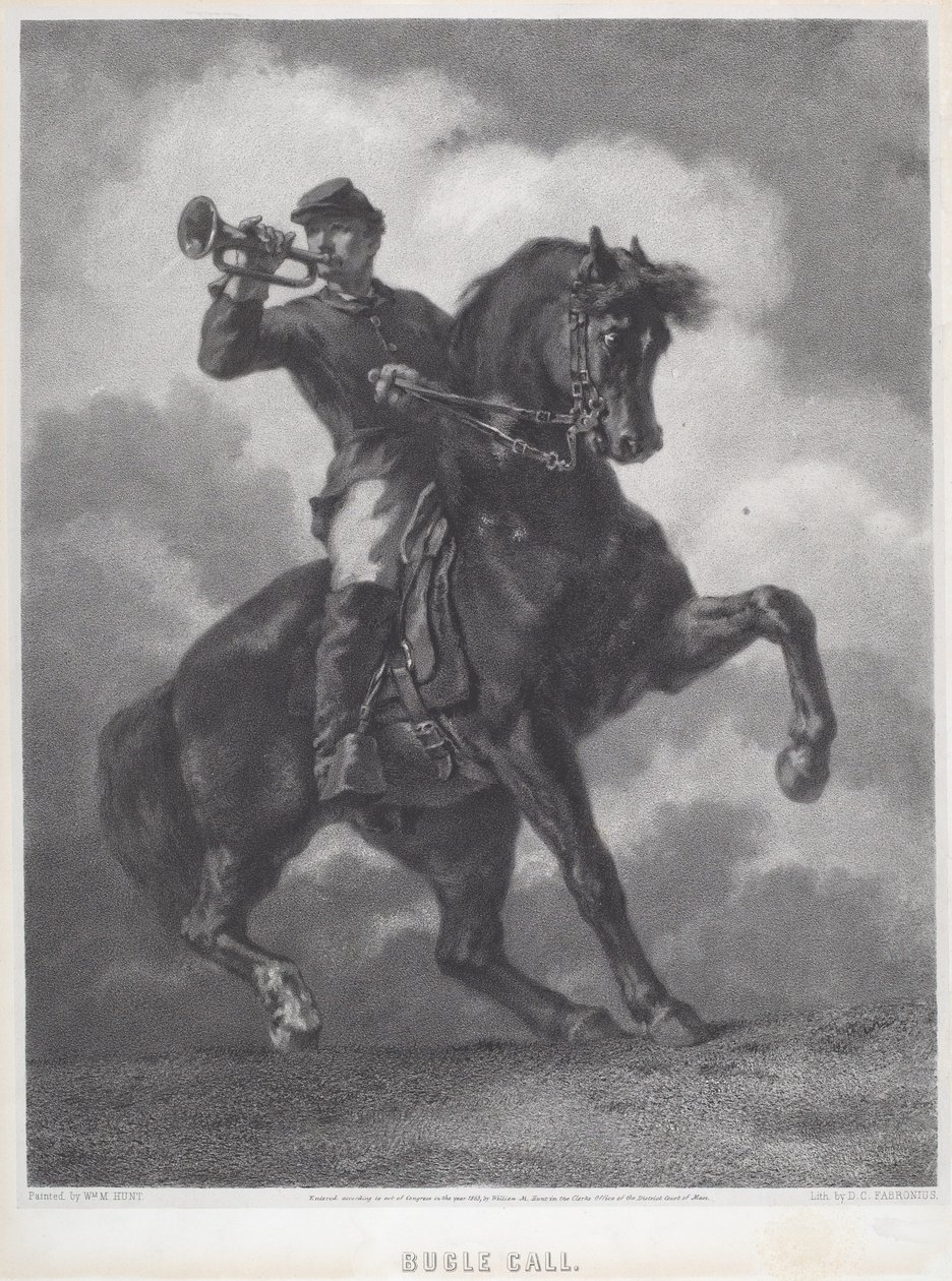 Volání polnice od Dominique C. Fabronius