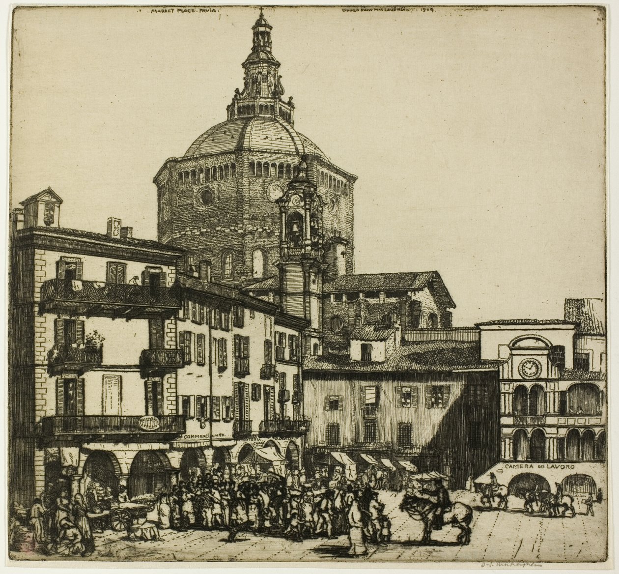 Pavia od Donald Shaw MacLaughlan