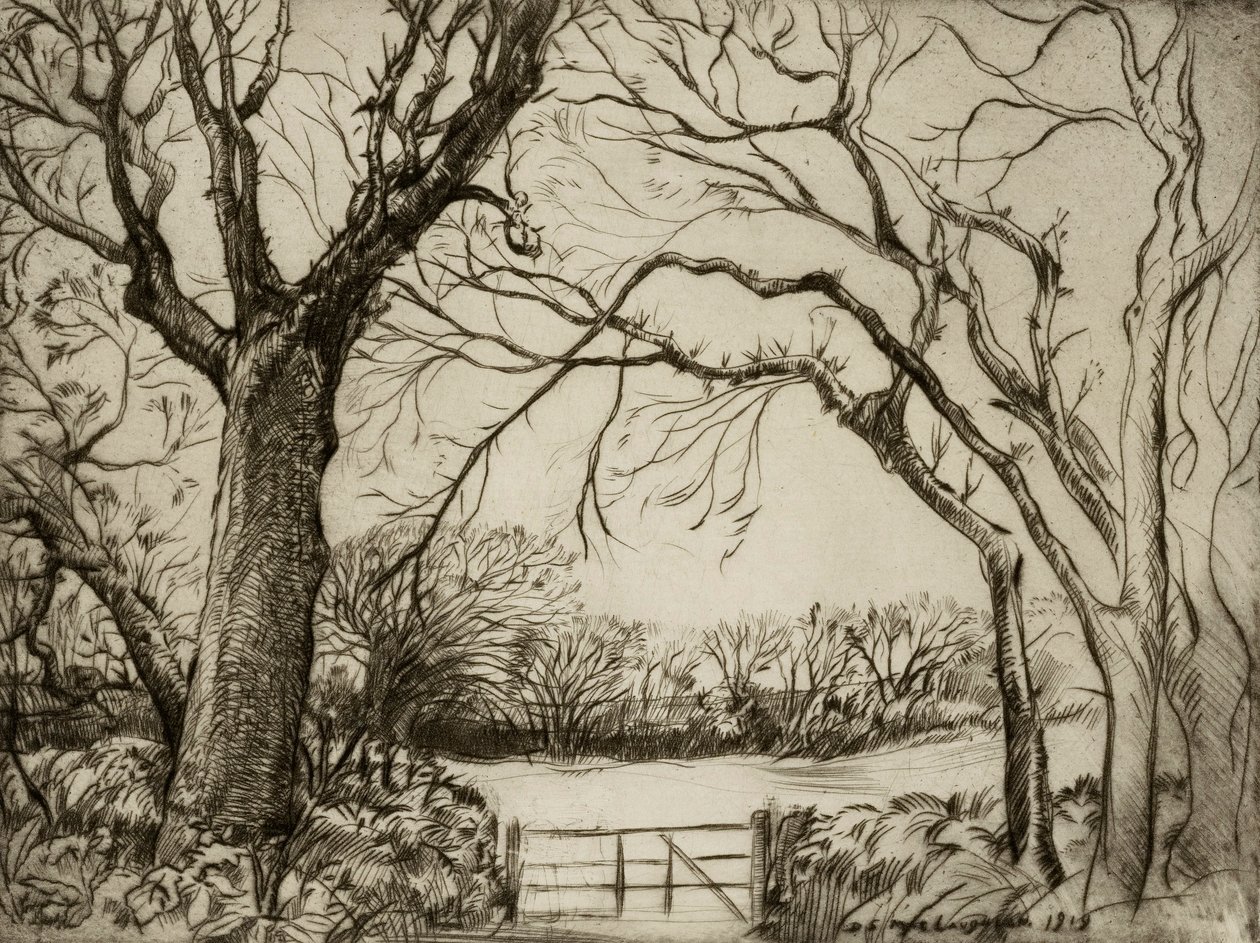 Tragenna Wood od Donald Shaw MacLaughlan