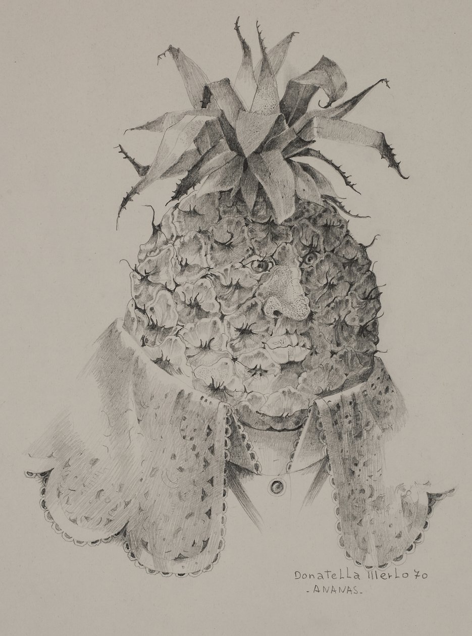 Ananas od Donatella Merlo