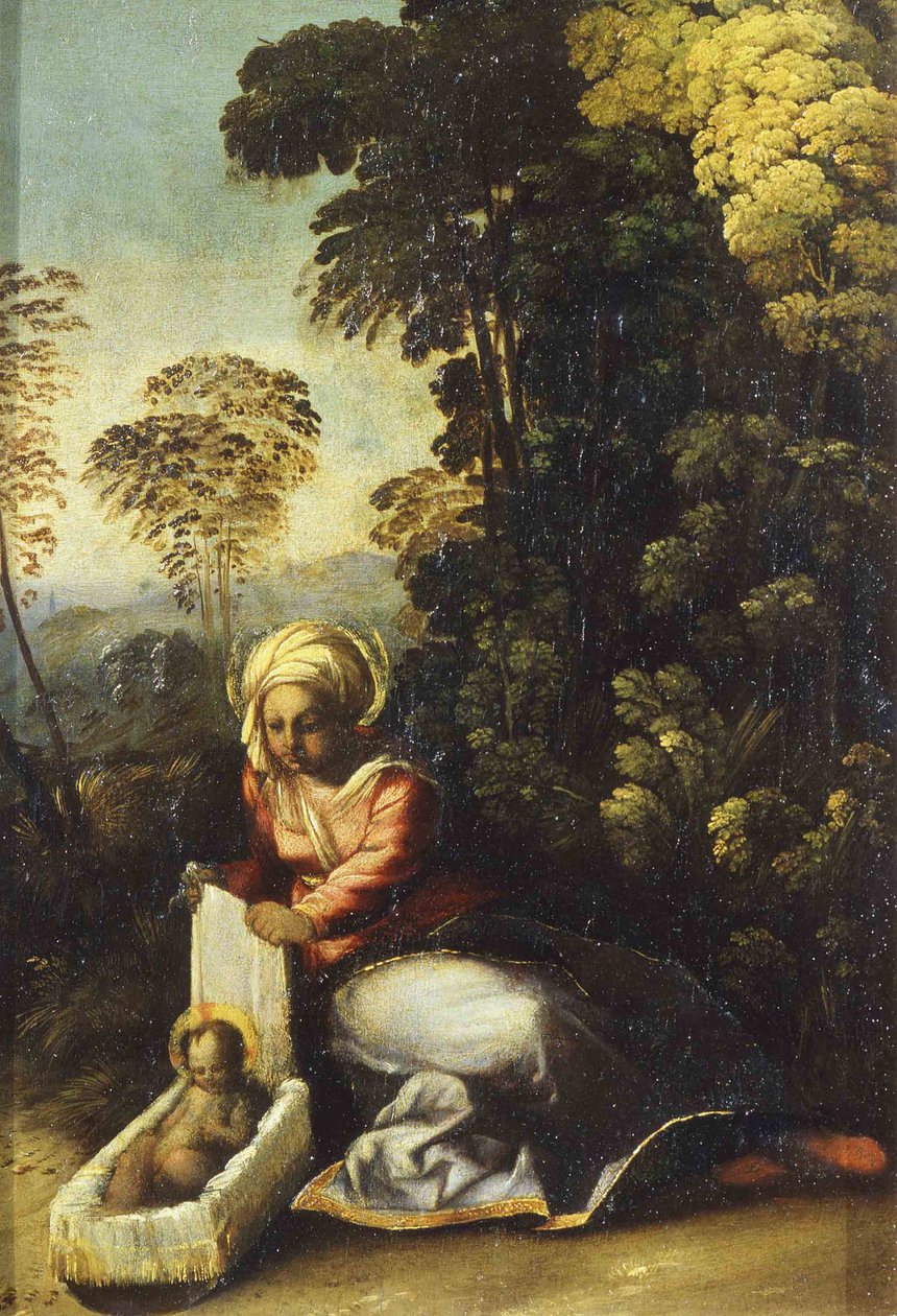 Madonna s dítětem La Zingarella, c. 1513 od Dosso Dossi