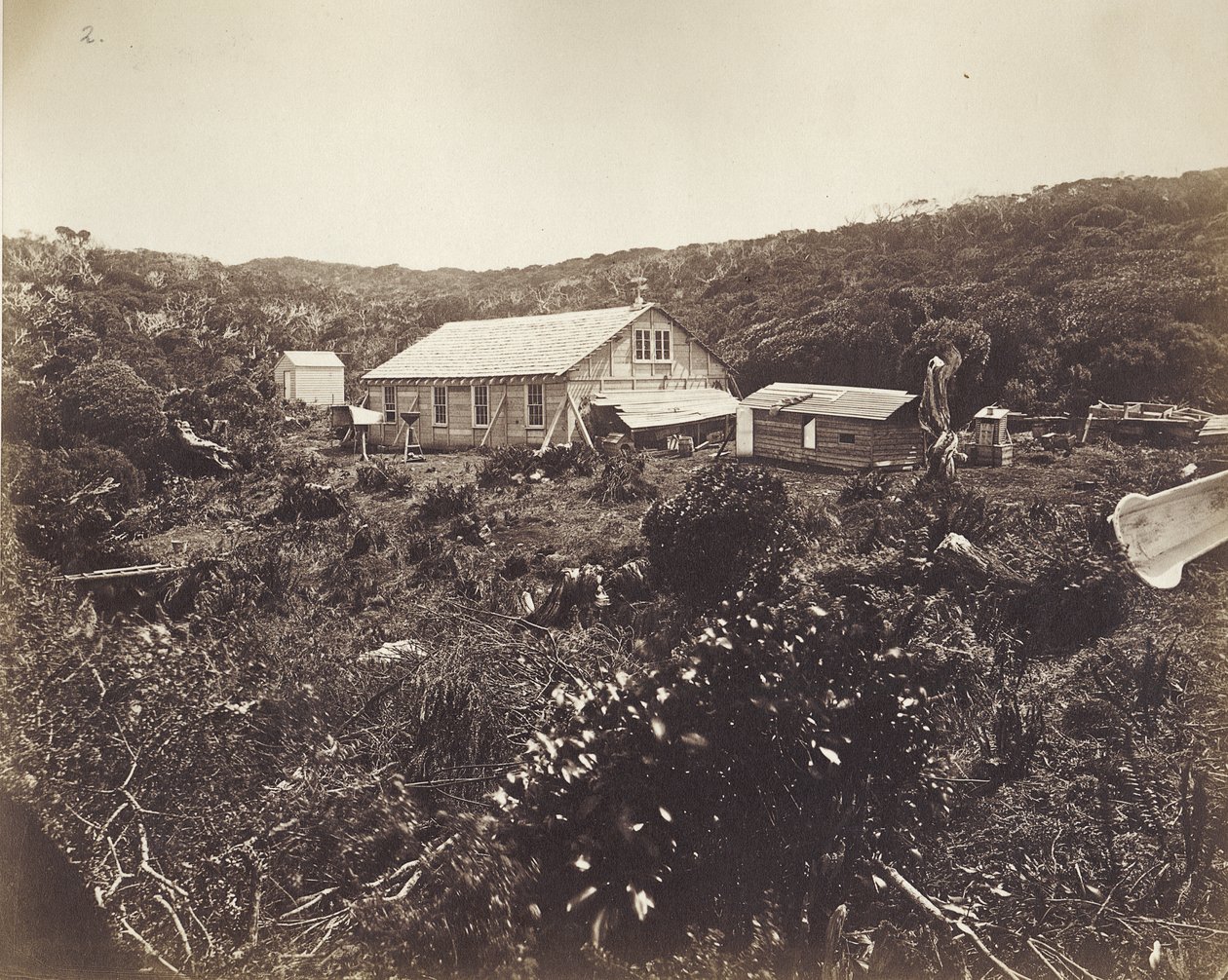 Německá expedice Transit Venuše, Aucklandské ostrovy, 1874-75 (tisk alba) od Dr. Guido Wolfram
