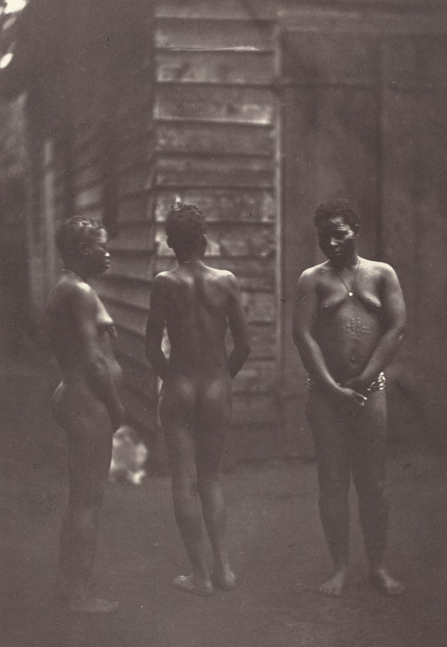Deska tří malgašských žen 30, 1863. od Désiré Charnay