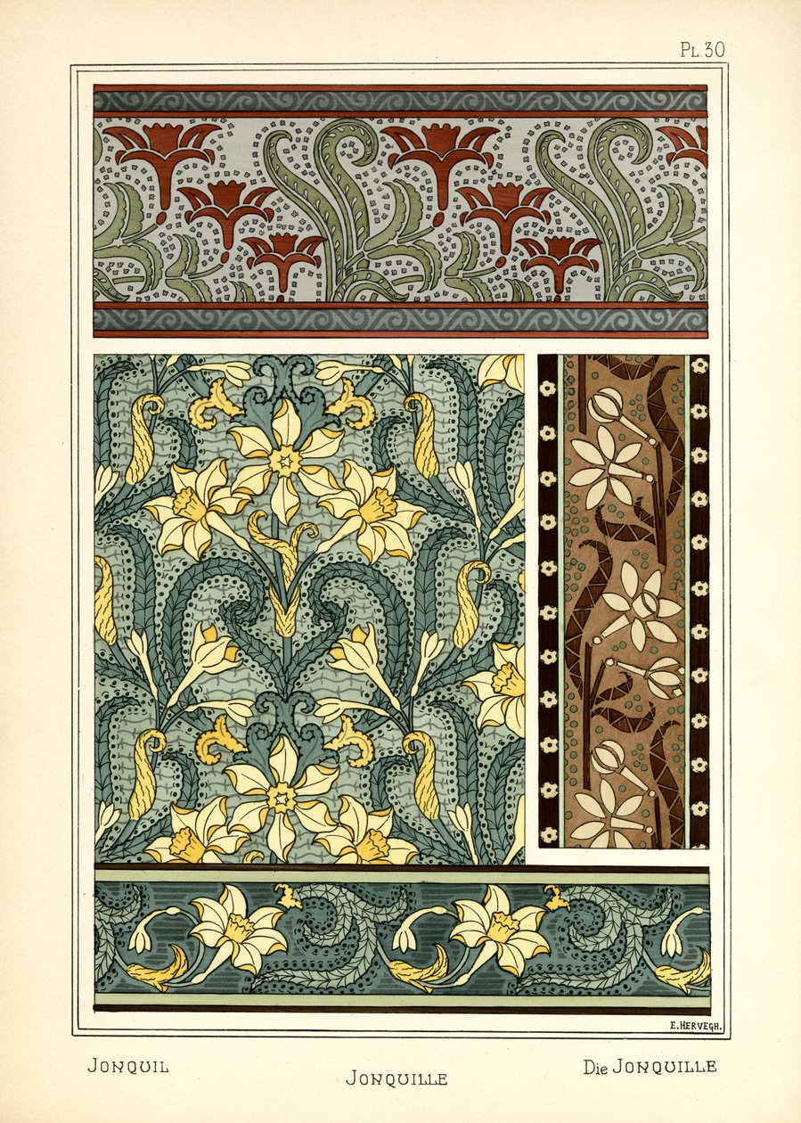 Jonquil od E. Hervegh