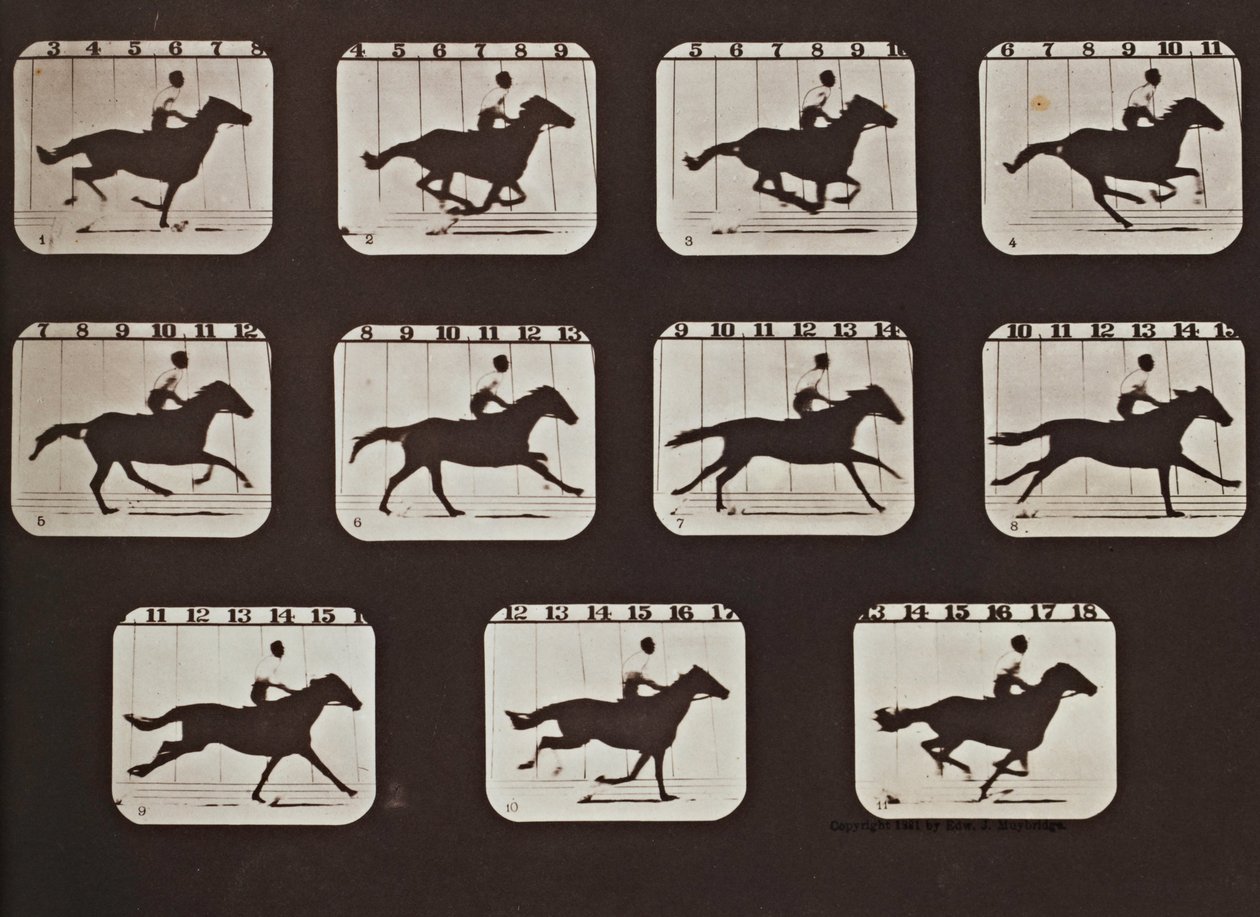 Sallie Gardnerová Běh z knihy Postoje zvířat v pohybu od Eadweard Muybridge