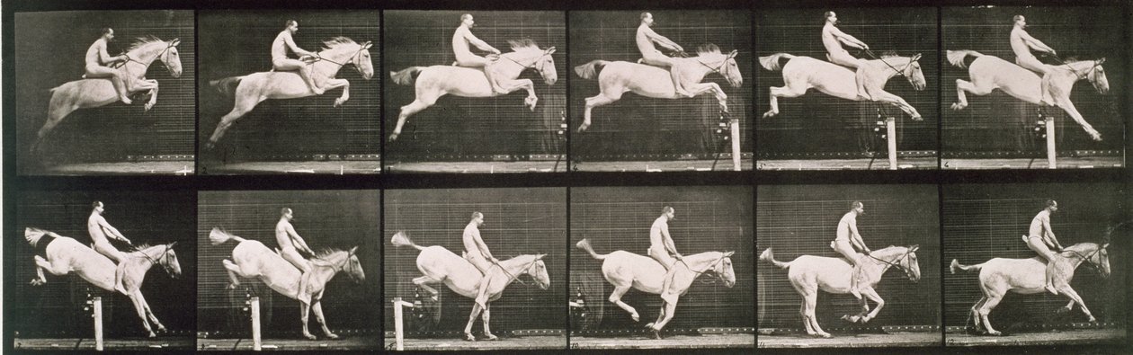 Muž a kůň skákající přes plot, deska 643 z knihy "Animal Locomotion", 1887 od Eadweard Muybridge