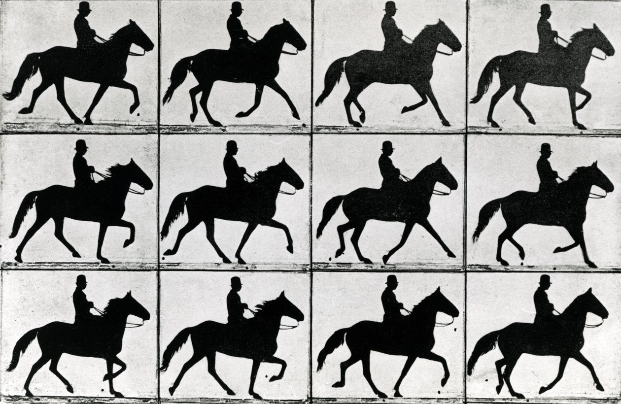 One Stride in Eleven Phases, 1881, ilustrace z 