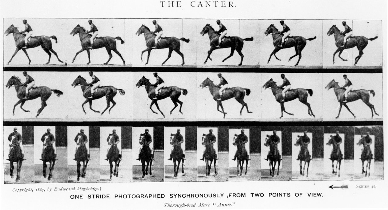 The Canter: One Stride Photographer Synchronously from Two Points of View, 1887, ilustrace z 