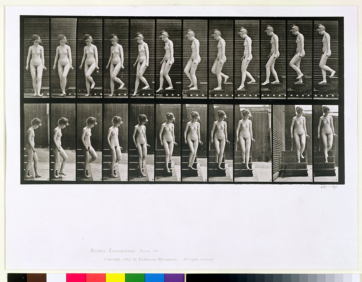 Žena sestupující po schodech, deska 137 z knihy "Animal Locomotion", 1887 od Eadweard Muybridge