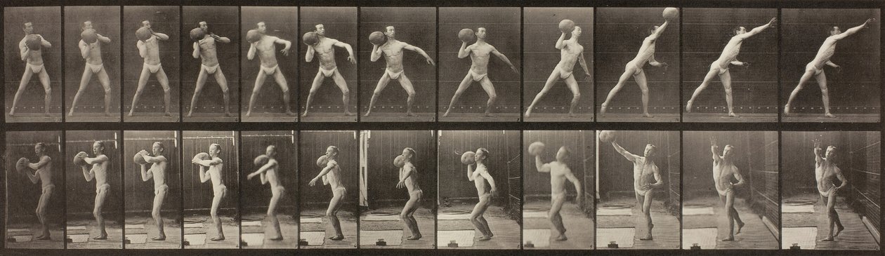 Animal Locomotion, Talíř 319, 1887. od Eadweard Muybridge