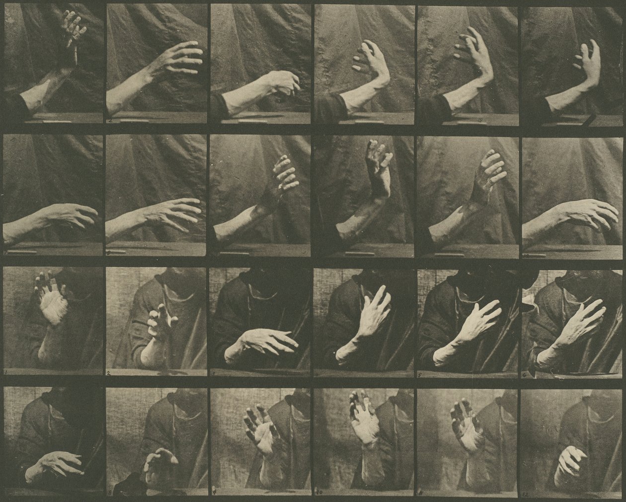 Animal Locomotion, Plate 535, 1887. od Eadweard Muybridge